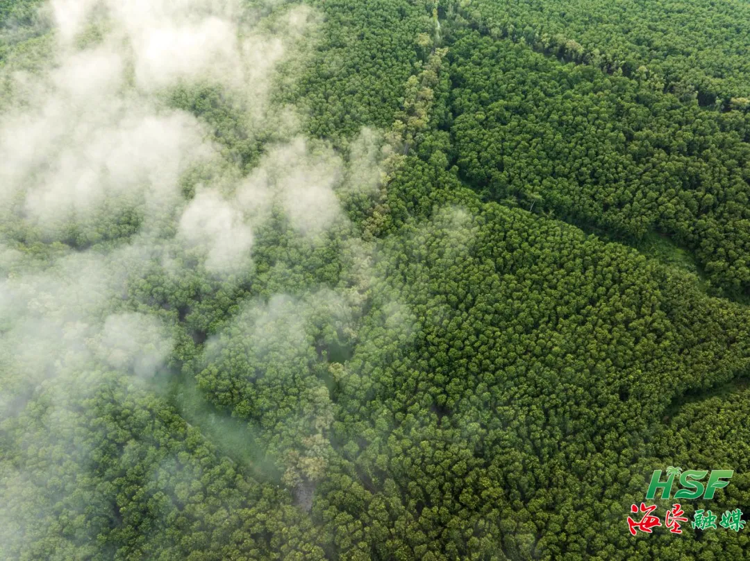 1755879744126044519.jpg 1755879744126044519.jpg