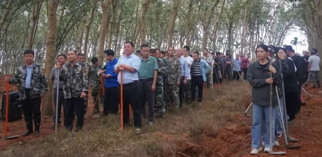 1765461252140098619.jpg 1765461252140098619.jpg