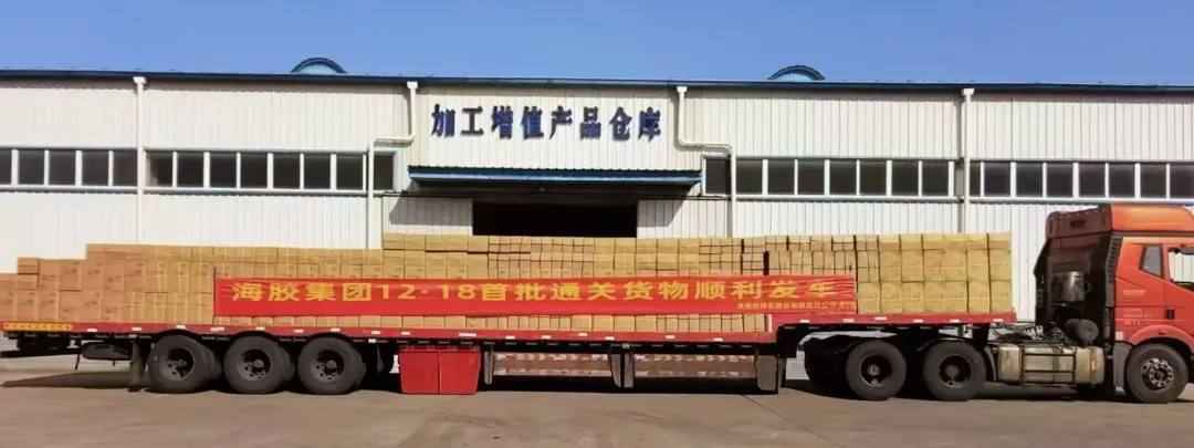 1766396164375024538.jpg 1766396164375024538.jpg